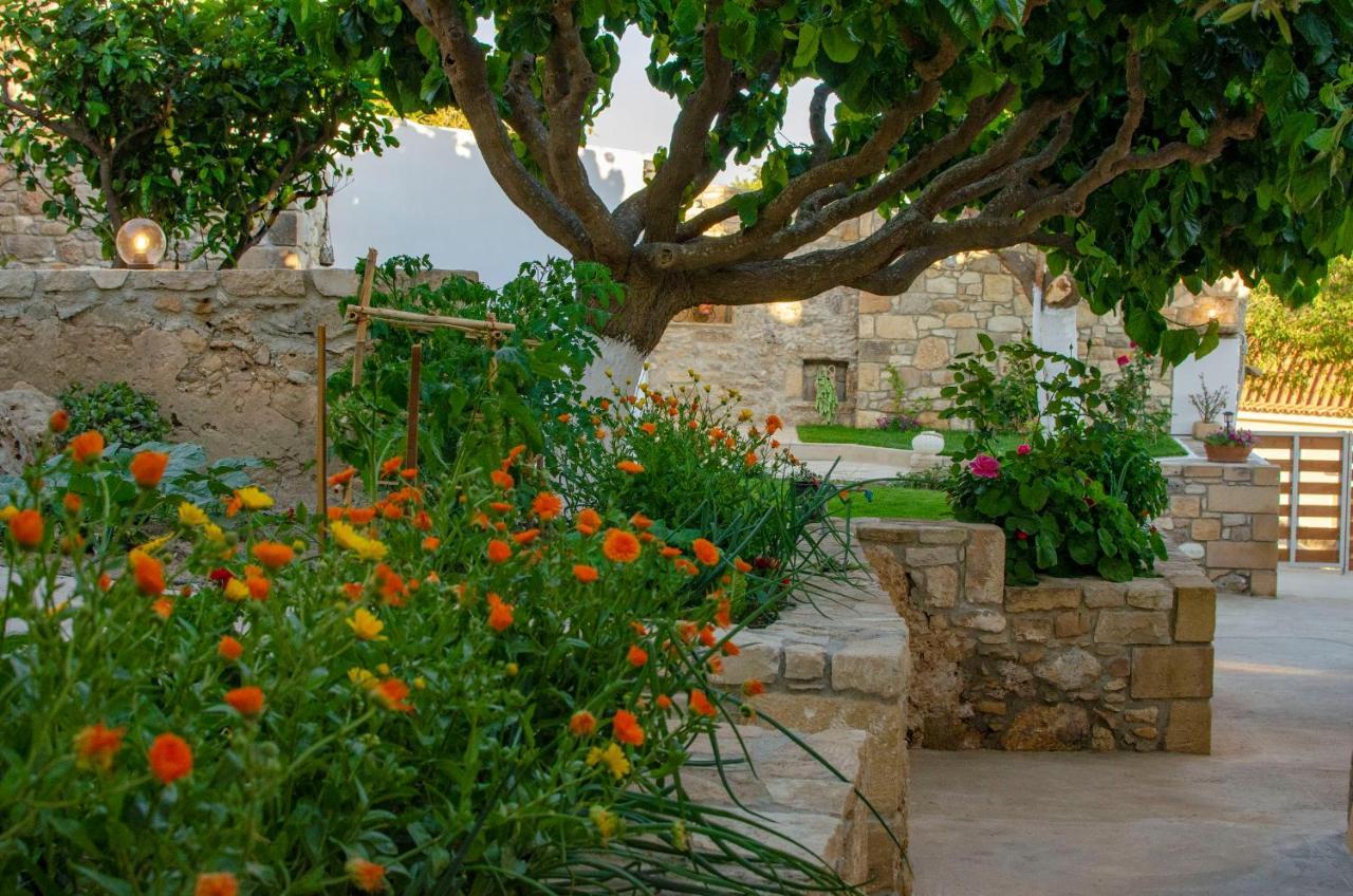 Vila Trouli Rokka House Kíssamos Exteriér fotografie